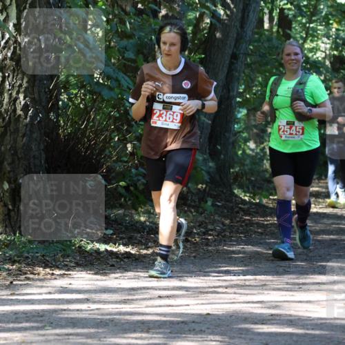 28.09.2025 - 33. Volkslauf durch das schöne Alstertal Strokosch-Dieckow http://msf.ph/oto/8974205 28.09.2025 12:38:05 Laufen 12, 2369, 2545 meine-sportfotos.de
