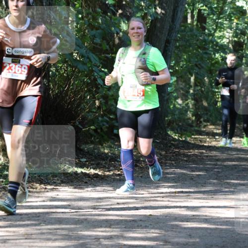 28.09.2025 - 33. Volkslauf durch das schöne Alstertal Strokosch-Dieckow http://msf.ph/oto/8974206 28.09.2025 12:38:06 Laufen 2369, 2545 meine-sportfotos.de