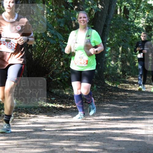 28.09.2025 - 33. Volkslauf durch das schöne Alstertal Strokosch-Dieckow http://msf.ph/oto/8974207 28.09.2025 12:38:06 Laufen 2369, 2545 meine-sportfotos.de