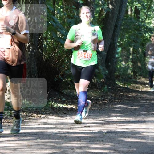 28.09.2025 - 33. Volkslauf durch das schöne Alstertal Strokosch-Dieckow http://msf.ph/oto/8974210 28.09.2025 12:38:06 Laufen 2545 meine-sportfotos.de