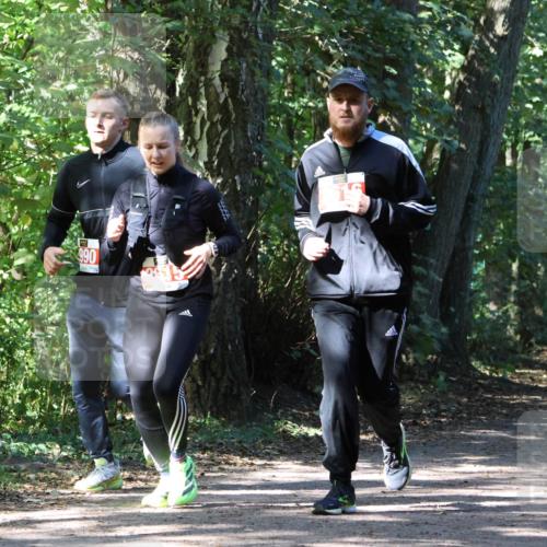 28.09.2025 - 33. Volkslauf durch das schöne Alstertal Strokosch-Dieckow http://msf.ph/oto/8974215 28.09.2025 12:38:14 Laufen 990 meine-sportfotos.de