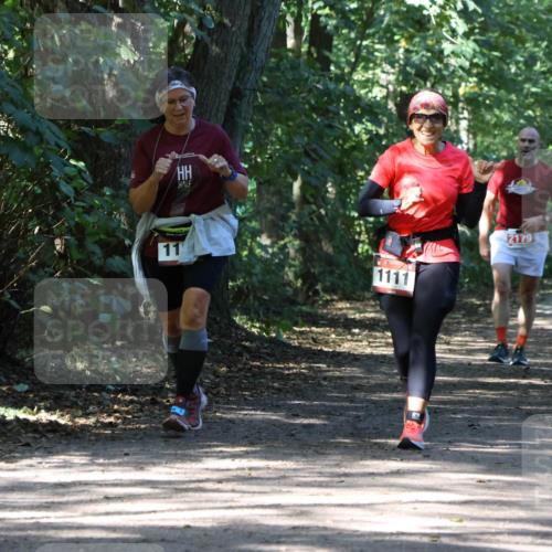 28.09.2025 - 33. Volkslauf durch das schöne Alstertal Strokosch-Dieckow http://msf.ph/oto/8974224 28.09.2025 12:38:23 Laufen 11, 1111, 2179 meine-sportfotos.de