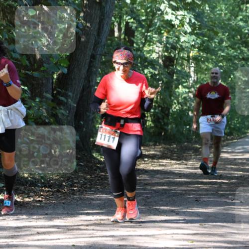 28.09.2025 - 33. Volkslauf durch das schöne Alstertal Strokosch-Dieckow http://msf.ph/oto/8974233 28.09.2025 12:38:24 Laufen 116, 1111 meine-sportfotos.de