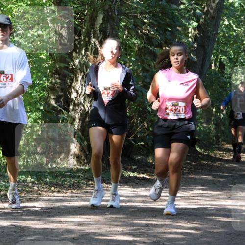 28.09.2025 - 33. Volkslauf durch das schöne Alstertal Strokosch-Dieckow http://msf.ph/oto/8974260 28.09.2025 12:39:45 Laufen 51, 2562, 322, 2320 meine-sportfotos.de