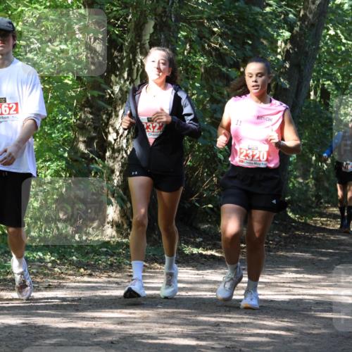 28.09.2025 - 33. Volkslauf durch das schöne Alstertal Strokosch-Dieckow http://msf.ph/oto/8974261 28.09.2025 12:39:45 Laufen 61, 2562, 2322, 11, 2320 meine-sportfotos.de