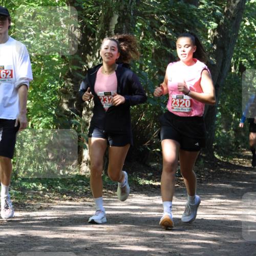 28.09.2025 - 33. Volkslauf durch das schöne Alstertal Strokosch-Dieckow http://msf.ph/oto/8974263 28.09.2025 12:39:45 Laufen 661, 2562, 232, 2320 meine-sportfotos.de
