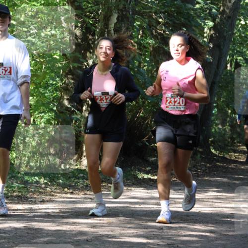 28.09.2025 - 33. Volkslauf durch das schöne Alstertal Strokosch-Dieckow http://msf.ph/oto/8974264 28.09.2025 12:39:45 Laufen 561, 2562, 11, 232, 2320, 2182 meine-sportfotos.de
