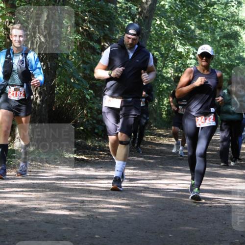 28.09.2025 - 33. Volkslauf durch das schöne Alstertal Strokosch-Dieckow http://msf.ph/oto/8974274 28.09.2025 12:39:54 Laufen 2182, 241, 2422 meine-sportfotos.de
