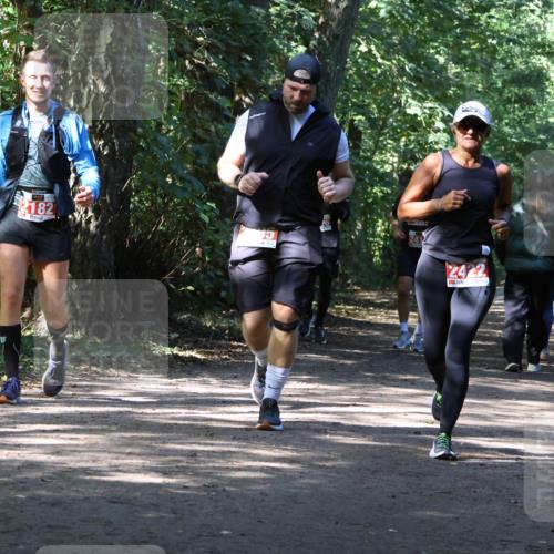 28.09.2025 - 33. Volkslauf durch das schöne Alstertal Strokosch-Dieckow http://msf.ph/oto/8974275 28.09.2025 12:39:54 Laufen 2182, 2422 meine-sportfotos.de