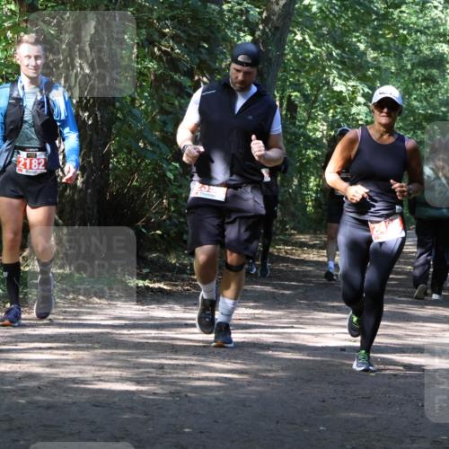 28.09.2025 - 33. Volkslauf durch das schöne Alstertal Strokosch-Dieckow http://msf.ph/oto/8974276 28.09.2025 12:39:54 Laufen 2182, 255 meine-sportfotos.de