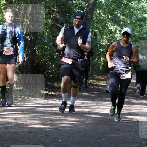 28.09.2025 - 33. Volkslauf durch das schöne Alstertal Strokosch-Dieckow http://msf.ph/oto/8974277 28.09.2025 12:39:54 Laufen 2182, 2595 meine-sportfotos.de
