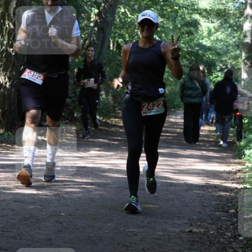 28.09.2025 - 33. Volkslauf durch das schöne Alstertal Strokosch-Dieckow http://msf.ph/oto/8974278 28.09.2025 12:39:55 Laufen 82, 2395, 2326, 2422 meine-sportfotos.de