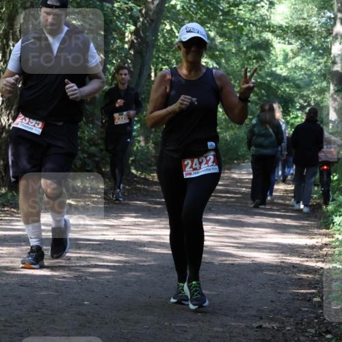 28.09.2025 - 33. Volkslauf durch das schöne Alstertal Strokosch-Dieckow http://msf.ph/oto/8974281 28.09.2025 12:39:55 Laufen 2595, 2326, 2422 meine-sportfotos.de