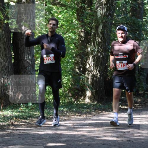 28.09.2025 - 33. Volkslauf durch das schöne Alstertal Strokosch-Dieckow http://msf.ph/oto/8974285 28.09.2025 12:39:58 Laufen 2326, 2413 meine-sportfotos.de