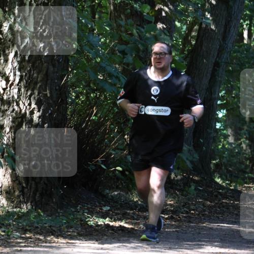 28.09.2025 - 33. Volkslauf durch das schöne Alstertal Strokosch-Dieckow http://msf.ph/oto/8974286 28.09.2025 12:40:03 Laufen  meine-sportfotos.de