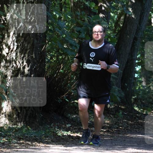 28.09.2025 - 33. Volkslauf durch das schöne Alstertal Strokosch-Dieckow http://msf.ph/oto/8974288 28.09.2025 12:40:03 Laufen  meine-sportfotos.de