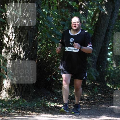 28.09.2025 - 33. Volkslauf durch das schöne Alstertal Strokosch-Dieckow http://msf.ph/oto/8974289 28.09.2025 12:40:03 Laufen  meine-sportfotos.de