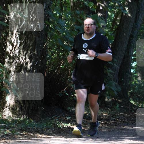 28.09.2025 - 33. Volkslauf durch das schöne Alstertal Strokosch-Dieckow http://msf.ph/oto/8974290 28.09.2025 12:40:03 Laufen  meine-sportfotos.de
