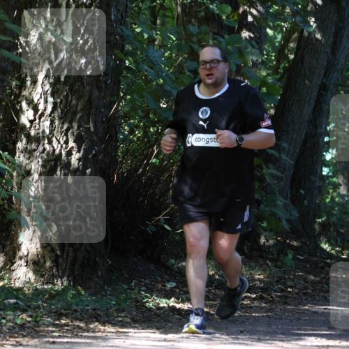 28.09.2025 - 33. Volkslauf durch das schöne Alstertal Strokosch-Dieckow http://msf.ph/oto/8974291 28.09.2025 12:40:03 Laufen 20 meine-sportfotos.de