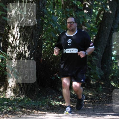 28.09.2025 - 33. Volkslauf durch das schöne Alstertal Strokosch-Dieckow http://msf.ph/oto/8974292 28.09.2025 12:40:03 Laufen 10 meine-sportfotos.de