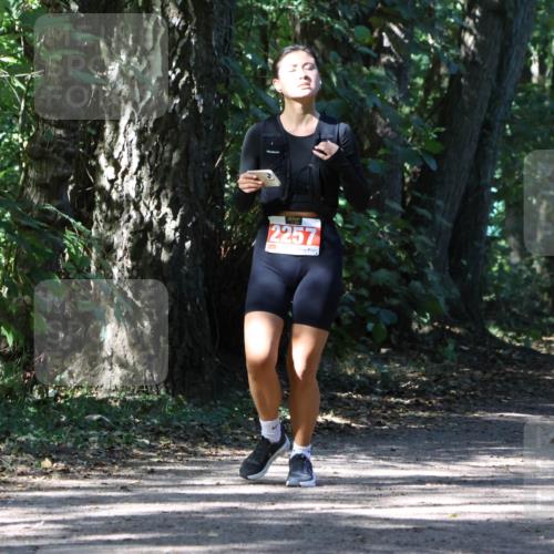 28.09.2025 - 33. Volkslauf durch das schöne Alstertal Strokosch-Dieckow http://msf.ph/oto/8974295 28.09.2025 12:40:40 Laufen 2257, 2275 meine-sportfotos.de