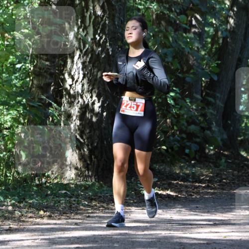 28.09.2025 - 33. Volkslauf durch das schöne Alstertal Strokosch-Dieckow http://msf.ph/oto/8974298 28.09.2025 12:40:40 Laufen 2257 meine-sportfotos.de