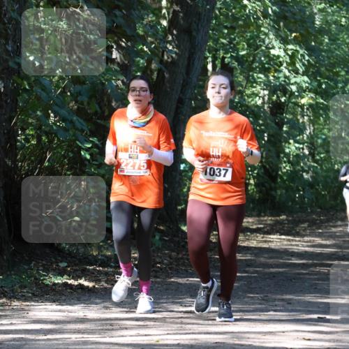 28.09.2025 - 33. Volkslauf durch das schöne Alstertal Strokosch-Dieckow http://msf.ph/oto/8974301 28.09.2025 12:40:46 Laufen 2275, 1037 meine-sportfotos.de
