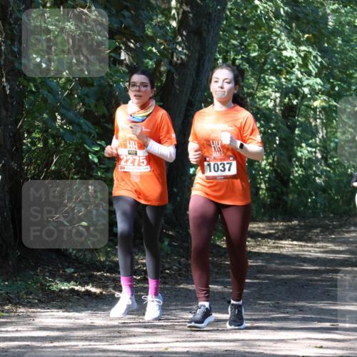 28.09.2025 - 33. Volkslauf durch das schöne Alstertal Strokosch-Dieckow http://msf.ph/oto/8974302 28.09.2025 12:40:46 Laufen 2275, 1037 meine-sportfotos.de