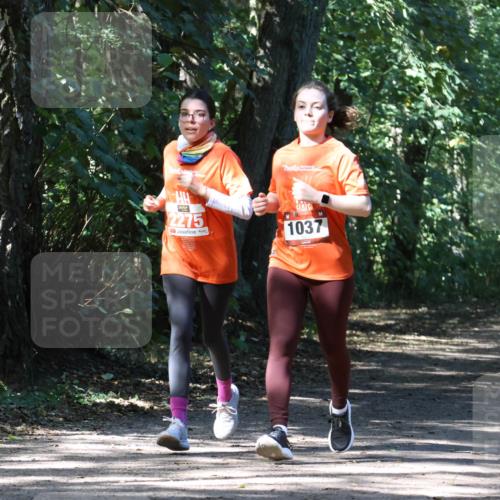28.09.2025 - 33. Volkslauf durch das schöne Alstertal Strokosch-Dieckow http://msf.ph/oto/8974303 28.09.2025 12:40:46 Laufen 2275, 1037 meine-sportfotos.de