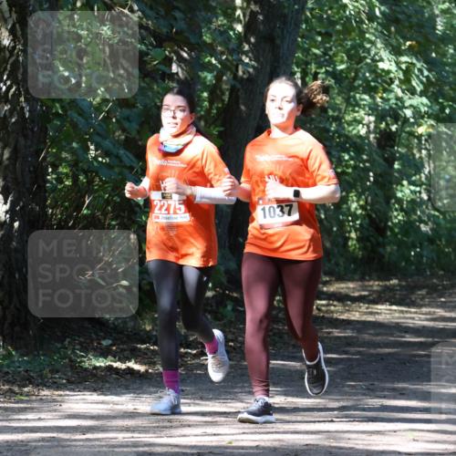 28.09.2025 - 33. Volkslauf durch das schöne Alstertal Strokosch-Dieckow http://msf.ph/oto/8974304 28.09.2025 12:40:46 Laufen 2275, 1037 meine-sportfotos.de