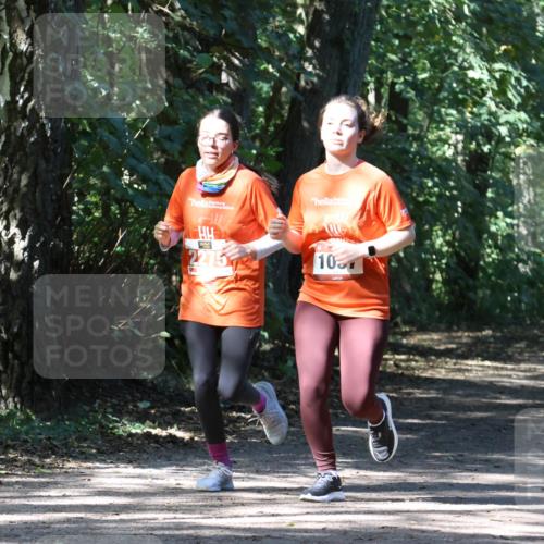 28.09.2025 - 33. Volkslauf durch das schöne Alstertal Strokosch-Dieckow http://msf.ph/oto/8974305 28.09.2025 12:40:46 Laufen 2275, 107 meine-sportfotos.de