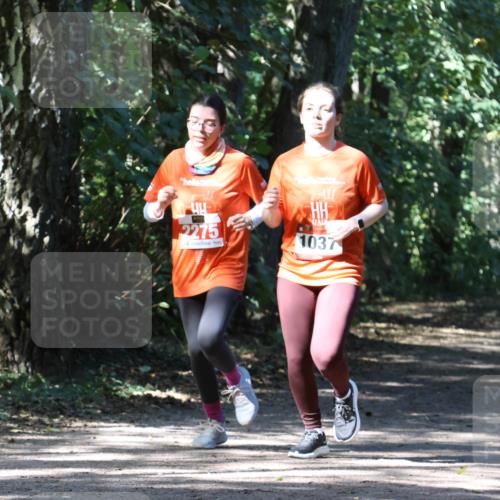 28.09.2025 - 33. Volkslauf durch das schöne Alstertal Strokosch-Dieckow http://msf.ph/oto/8974306 28.09.2025 12:40:46 Laufen 2275, 1037 meine-sportfotos.de