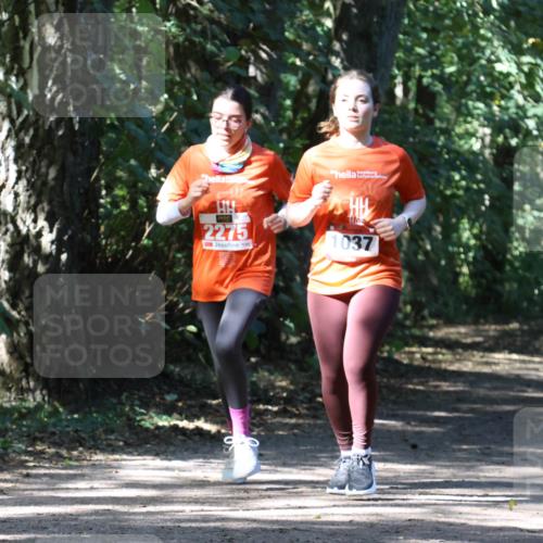 28.09.2025 - 33. Volkslauf durch das schöne Alstertal Strokosch-Dieckow http://msf.ph/oto/8974307 28.09.2025 12:40:46 Laufen 2275, 1037 meine-sportfotos.de
