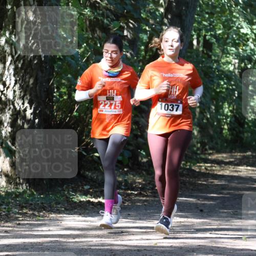 28.09.2025 - 33. Volkslauf durch das schöne Alstertal Strokosch-Dieckow http://msf.ph/oto/8974308 28.09.2025 12:40:46 Laufen 2275, 1037 meine-sportfotos.de