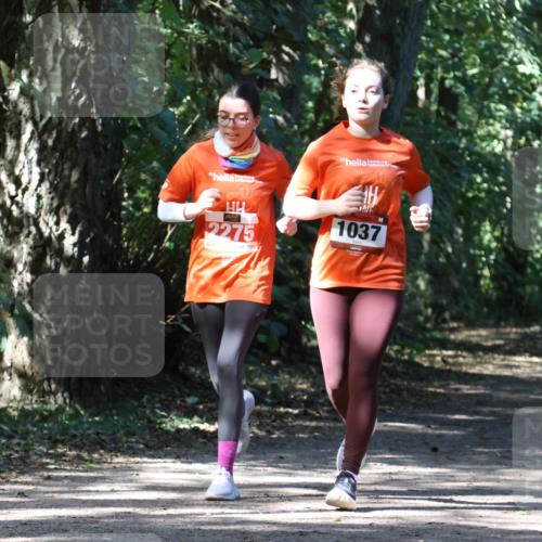 28.09.2025 - 33. Volkslauf durch das schöne Alstertal Strokosch-Dieckow http://msf.ph/oto/8974309 28.09.2025 12:40:46 Laufen 2275, 1037 meine-sportfotos.de