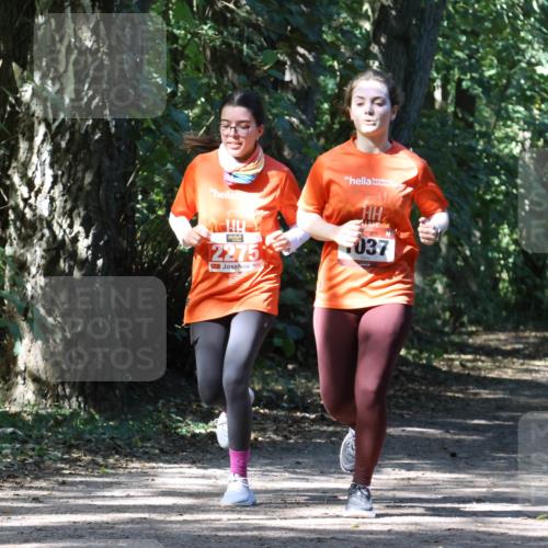 28.09.2025 - 33. Volkslauf durch das schöne Alstertal Strokosch-Dieckow http://msf.ph/oto/8974310 28.09.2025 12:40:46 Laufen 2275, 037 meine-sportfotos.de