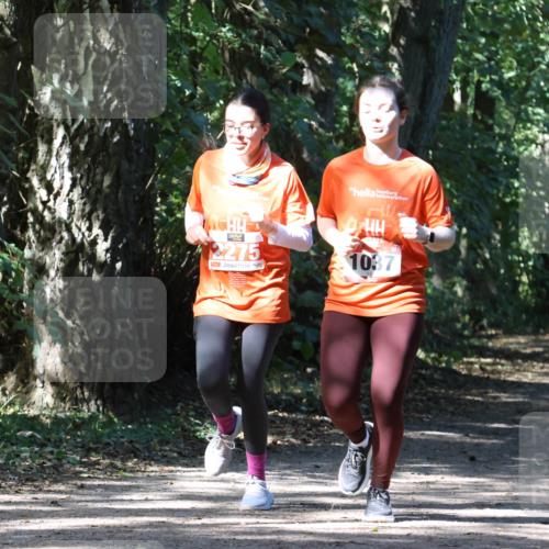 28.09.2025 - 33. Volkslauf durch das schöne Alstertal Strokosch-Dieckow http://msf.ph/oto/8974311 28.09.2025 12:40:46 Laufen 2275, 1037 meine-sportfotos.de