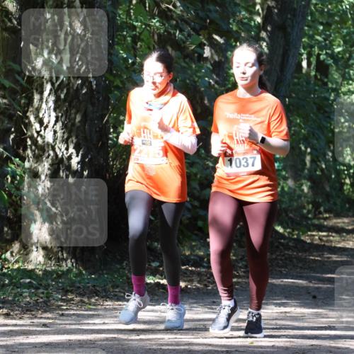 28.09.2025 - 33. Volkslauf durch das schöne Alstertal Strokosch-Dieckow http://msf.ph/oto/8974312 28.09.2025 12:40:46 Laufen 1037 meine-sportfotos.de