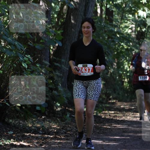 28.09.2025 - 33. Volkslauf durch das schöne Alstertal Strokosch-Dieckow http://msf.ph/oto/8974313 28.09.2025 12:41:00 Laufen 2437, 1109 meine-sportfotos.de