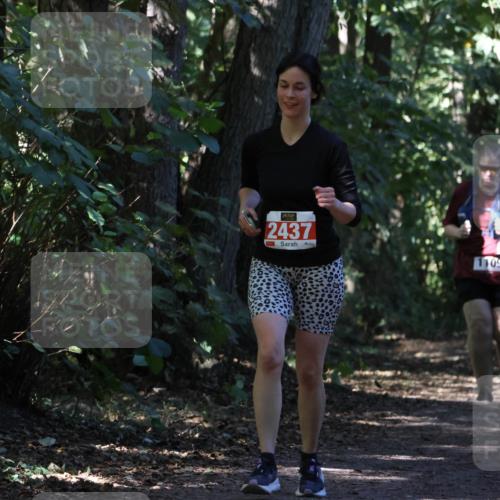 28.09.2025 - 33. Volkslauf durch das schöne Alstertal Strokosch-Dieckow http://msf.ph/oto/8974314 28.09.2025 12:41:00 Laufen 2437 meine-sportfotos.de