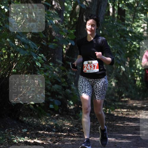 28.09.2025 - 33. Volkslauf durch das schöne Alstertal Strokosch-Dieckow http://msf.ph/oto/8974316 28.09.2025 12:41:00 Laufen 2437, 1109 meine-sportfotos.de