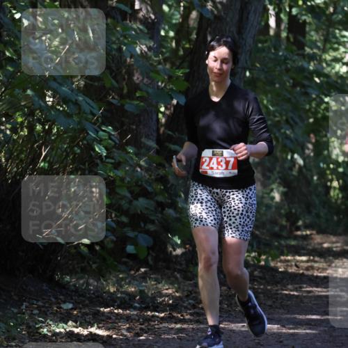 28.09.2025 - 33. Volkslauf durch das schöne Alstertal Strokosch-Dieckow http://msf.ph/oto/8974317 28.09.2025 12:41:00 Laufen 2437, 1109 meine-sportfotos.de