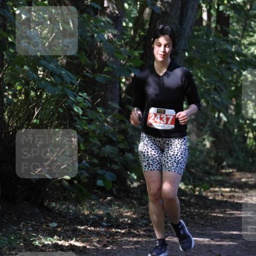 28.09.2025 - 33. Volkslauf durch das schöne Alstertal Strokosch-Dieckow http://msf.ph/oto/8974318 28.09.2025 12:41:00 Laufen 2437, 1109 meine-sportfotos.de