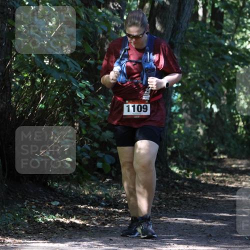 28.09.2025 - 33. Volkslauf durch das schöne Alstertal Strokosch-Dieckow http://msf.ph/oto/8974321 28.09.2025 12:41:06 Laufen 1109 meine-sportfotos.de