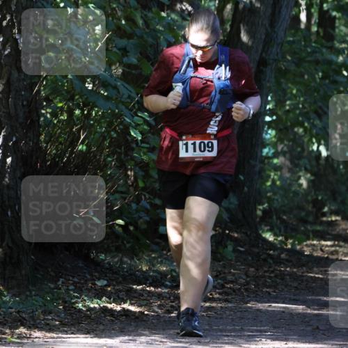 28.09.2025 - 33. Volkslauf durch das schöne Alstertal Strokosch-Dieckow http://msf.ph/oto/8974324 28.09.2025 12:41:06 Laufen 1109 meine-sportfotos.de