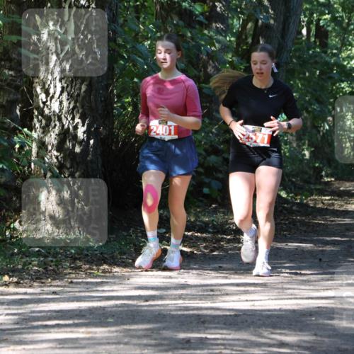 28.09.2025 - 33. Volkslauf durch das schöne Alstertal Strokosch-Dieckow http://msf.ph/oto/8974327 28.09.2025 12:41:17 Laufen 2401 meine-sportfotos.de