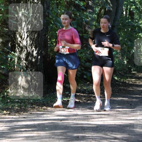 28.09.2025 - 33. Volkslauf durch das schöne Alstertal Strokosch-Dieckow http://msf.ph/oto/8974328 28.09.2025 12:41:17 Laufen 2401 meine-sportfotos.de