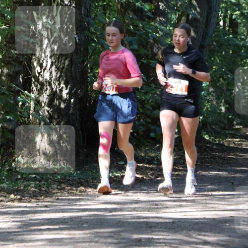 28.09.2025 - 33. Volkslauf durch das schöne Alstertal Strokosch-Dieckow http://msf.ph/oto/8974329 28.09.2025 12:41:17 Laufen 240 meine-sportfotos.de