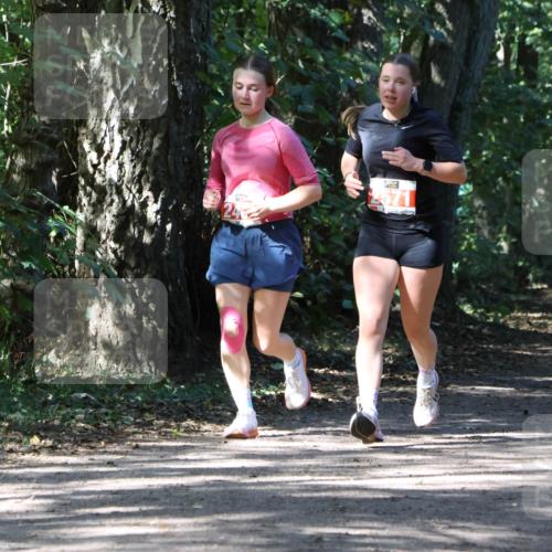28.09.2025 - 33. Volkslauf durch das schöne Alstertal Strokosch-Dieckow http://msf.ph/oto/8974330 28.09.2025 12:41:18 Laufen  meine-sportfotos.de