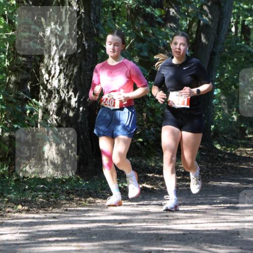 28.09.2025 - 33. Volkslauf durch das schöne Alstertal Strokosch-Dieckow http://msf.ph/oto/8974331 28.09.2025 12:41:18 Laufen 240 meine-sportfotos.de